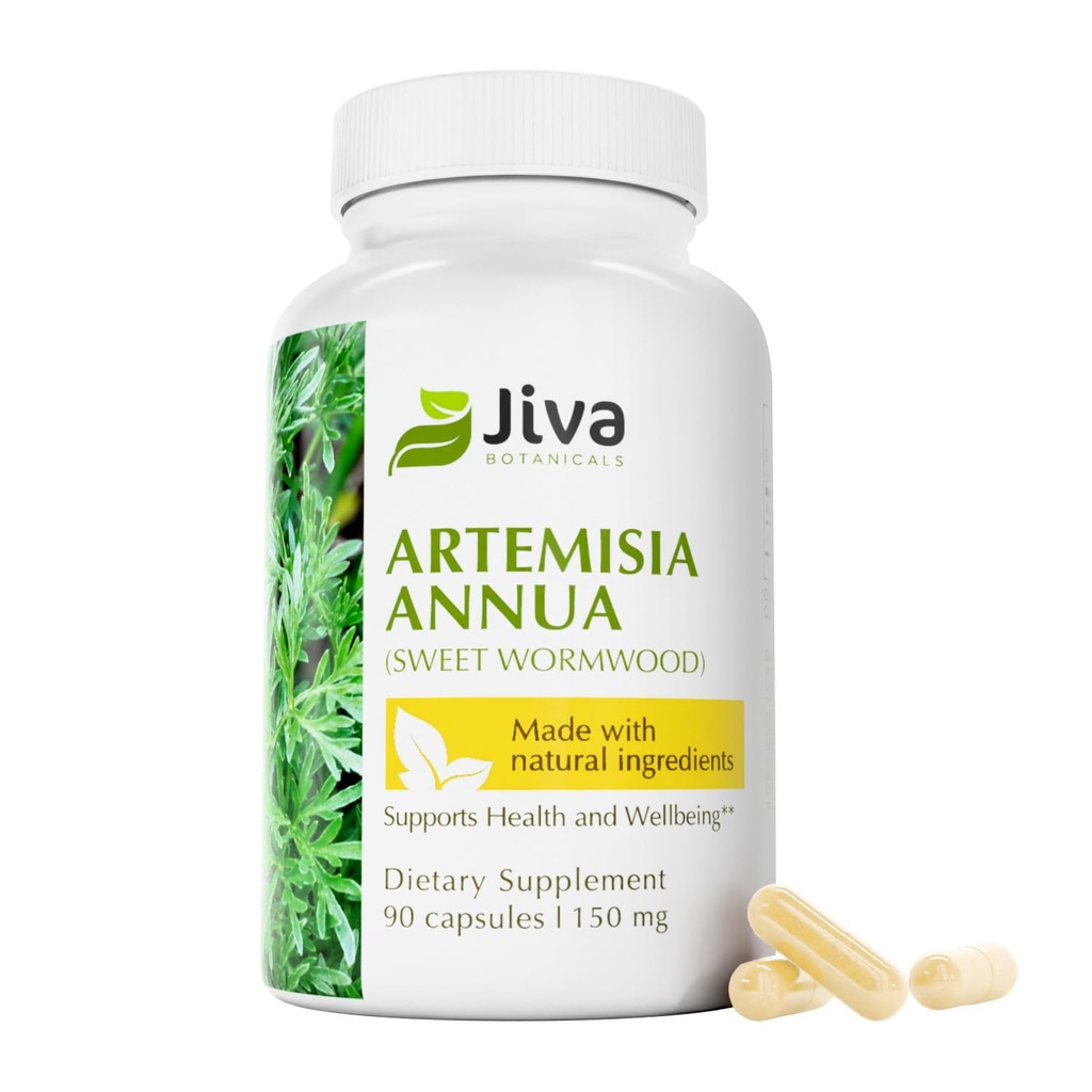 Jiva Botanicals Artemisia Annua Sweet Wormwood Capses - Υποστηρίζει το ανοσοποιητικό σύστημα & τη φυσιολογική υγεία του ήπατος - Κατασκευάζεται στις ΗΠΑ - 90 κάψουλες