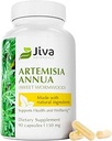 Jiva Botaniks Artemisia Annua Sweet Wormwood Capsules - Destekler Immune System & Normal Canlı Sağlık - ABD'de Yapılacak - 90 Capsules