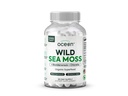 Οργανικοί Ocean Wild Sea Moss Κάψουλες - 100% Βιολογικό Ιρλανδικό Moss με Βιολογικό Chlorella, Bladderwrack και Βιταμίνη D για την ενέργεια, την υγεία του πνεύμονα και το Thyroid Υποστήριξη για γυναίκες και άνδρες - 60 κάψουλες