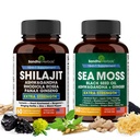 Shilajit Sea Moss Ashwagandha Combo Sche - Black Seed Oil, Turmeric, Rhodiola Rosea, Panax, Reality Supplement | 120 Capsules, Better Than Gummies, | Wear | Seamoss for Men & Women