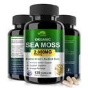 Santa Sea Moss Capsules with Bladderwrack,Burdock Root and Black Pepper Extract-Irish SeaMos Pills 2000 mg-Promotes Immune System,Thyroid Support (120 Capsules)