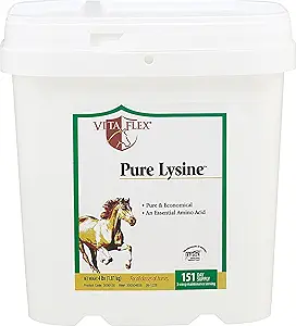 Vita Flex καθαρή λυσίνη, 151 ημερήσια προμήθεια, 4 lbs
