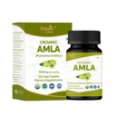 Amla 120 Tablet - USDA Organik Hint Gooseberry - C & Supports Immune Health *