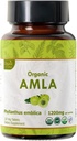 Amla 120 Tablet - USDA Organik Hint Gooseberry - C & Supports Immune Health *