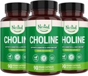 Nested Naturals Choline Bitartrate 500 mg | High Potency Choline Supplements | Supports Cognitive Performance & Liver Function | 100% Vegan & Non-GMO | (3-Pack)