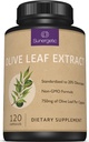 Premium Olive Leaf Extract Κάψουλες – Standardized to 20% Oleuropein – Super Strength Olive Leaf Exact Supplement Υποστηρίζει ανοσοποιητικό σύστημα & καρδιοαγγειακή υγεία – 750mg ανά καψάκιο – 120 κάψουλες