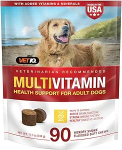 VetIQ Multivitamin Supplement for Dogs, Health Support Supplement Soft Chews, 90 Count