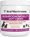 Gerçek Mushrooms Mobility Chews for Dogs & Cats – Green Lipped Mussel & ErgoGold Mushroom Mix – Köpekler & Cat Vitamins Active Routines – Ortak, Hip & Flexability Support – 240 ct Supplement