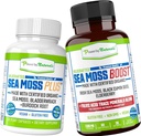 Naturals tarafından yetkilendirilmiş Organik Deniz Moss Capsules (SeaMoss Plus & Sea Moss Boost) - vahşi sanatsız, GMO deniz Moss ham Organik - 60 Gluten-Free Seamoss Pills