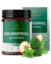 HERBAMAMA Chlorophyll Detox Gummies - 50mg Lipophyllin Internal Deodorant for Body Odor Support - Vegan, Non-GMO Antioksi Supplement - 90 Pectin-Based Apple-Flavored Chews