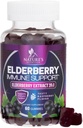 Elderberry Immune Support Gummies - Super Tempd 35:1 Extract, Equivalent to 4200 mg of Elderberries - Sambucus Black Elder Berry Vitamin Tamam, Çocuklar ve Yetişkinler için Günlük Destek - 60 Gummies