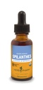 Βότανο Pharm Certified Organic Spilanthes Liquid Extract για τον καθαρισμό και την αποτοξίνωση - 1 ουγγιά