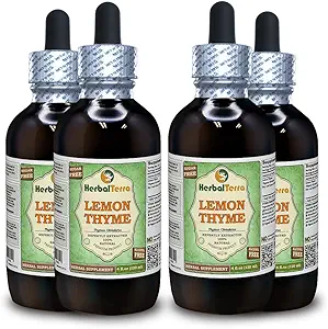 Lemon Thyme (Thymus x Citriodorus) Glycerite, Organik kuru Herb Alkol Özgür Sıvı Ekstraksiyon (Brand Name: HerbalTerra, Proudly Made in USA) 4x4 fl.oz (4x120 ml)