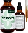 Echinacea 4 fl oz Liquid Extract - Organik Kök, Yaprak, Çiçek, Tohum - Doğal Herbal Supplement - Body, Immune System Support Tincture - High Potency Drops - 90-Day Supply - Family Dimension