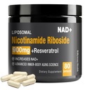 NAD Supplement - NAD+ ile Nicotinamid Riboside (NR) ve Resveratrol Quercetin 900 mg Pure Organic NAD Plus for Cellular Repair Health Aging Brain Function, 80 Capsules