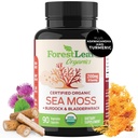 ForestLeaf Organic Irish Sea Moss Capsules | 2100 mg Raw Seamoss Pills Advanced Supplement Superfood + Burdock, Bladderwrack for Digestive, Respiratory, Immune Health | 90 Vegan Organik Deniz Moss Caps