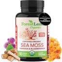 ForestLeaf Organic Irish Sea Moss Capsules | 2100 mg Raw Seamoss Pills Advanced Supplement Superfood + Burdock, Bladderwrack for Digestive, Respiratory, Immune Health | 90 Vegan Organik Deniz Moss Caps