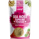 Wixar Wildcrafted Sea Moss Powder – (8 ουγγιά) – Φυσικό Ιρλανδικό Θαλασσινό Moss και Bladderwrack με σκόνη Burdock - Θυρεοειδής υποστήριξη, υγιές δέρμα, Keto Detox, Κοινή υποστήριξη Alkaline συμπληρώματα