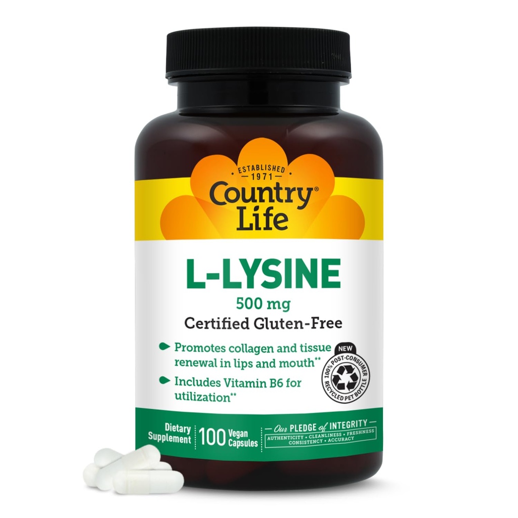 Ülke Life L-Lysine 500 mg ile B-6, Destekler Immune Health, Lips and Mouth, 100 Vegan Capsules, sertifikalı Gluten Free, sertifikalı Vegan Vegan
