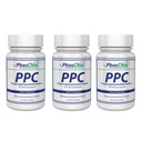 Nutrasal PhosChol ΔΕΗ Πολυενυλο ΦωσφατιδυλοΧολίνη Συμπλήρωμα Χολίνης 900mg 300 Ζελατίνη Κάψουλες