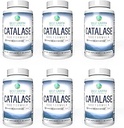 Best Earth Naturals Six Pack of Catalase 10.000 Formula Enzyme Supplement with Saw Palmetto, Biotin, Fo-Ti, PABA - Συμπληρώματα μαλλιών για Ισχυρά Μαλλιά - 360 κάψουλες (180-ημέρα προσφοράς)