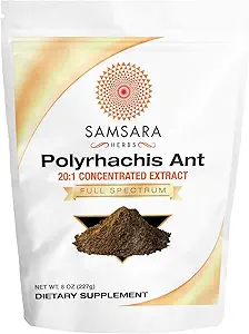 Samsara Herbs Polyrhachis Μαύρο εκχύλισμα μυρμηγκιών σκόνη - 20:1 συμπυκνωμένο εκχύλισμα (8oz/227g)