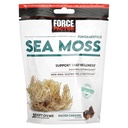 Force Factor Sea Moss Chews a Daily Wellness & Antioksi Support a Salted Caramel (30 Soft Chews)