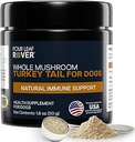 Türkiye Köpekler için Tail Mushroom - Tüm, Organik Mushroom Ekstraksiyon - 50 Beta-Glucan - Üçüncü Parti Test Edildi, ABD'de Yapıldı - Nojs No Fillers - 60 Gün Büyük Köpek Supply