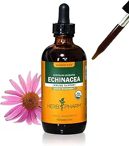 Herb Pharm Immune System Support için Organik Echinacea Root Sıvı Türlemeyi Onayladı, Alkol Özgür Glycerite, 4 Ounce