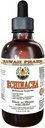 Echinacea Alkol Özgür Sıvı Ekstraksiyon, Organik Echinacea (Echinacea Purpurea) herb Glycerite Hawaii Pharm Natural Herbal Supplement 4 ozz