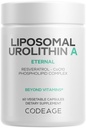 Kodaj Liposomal Urolithin A Supplement 500 mg Per Servis + Resveratrol, Betaine, CoQ10, Ellagitannins - A New Frontier Beyond NADH, NMN, NAD, NR ve PQ Capsules - Bio available - 60