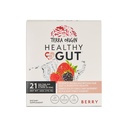 TERRA ORIGIN Sağlıklı Gut Stick Packs, L-Glutamine, Terpery Elm, Aloe Vera, Licorice Root Extract, Gut Health, Digestive Support, Leaky Gut Onarım, Immune Function, On-Go, 21 Ct, Berry