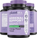 Συμπλήρωμα Adrenal Support & Cortisol Manager 