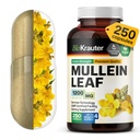 BIO KRAUTER Mullein Κάψουλες 1200 mg 250 Count - Pure Vegan Mullein Leaf Extract για Πνεύμονες - 125 ημέρες προσφοράς - Lung Cleanse & αναπνευστική υποστήριξη συμπληρώματα - Χωρίς πληρωτικά, μη ΓΤΟ