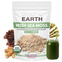 Organik Dünya İrlandalı Deniz Moss Toz 8oz - Vahşi Deniz Moss Organik Bladderwrack & Burdock Kök Toz - Tiroid, Digestion Support & Sağlıklı Skin - USDA Sertifikalı Organik Organik