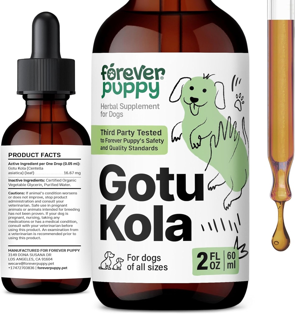 Forever κουτάβι Gotu Kola σταγόνες για σκύλους - Centella Asiatica & Gotou εκχύλισμα για την υποστήριξη της υγείας του εγκεφάλου - υγρό συμπλήρωμα εγκεφάλου για σκύλους όλων των Φυλή & Μεγέθη - 2 oz
