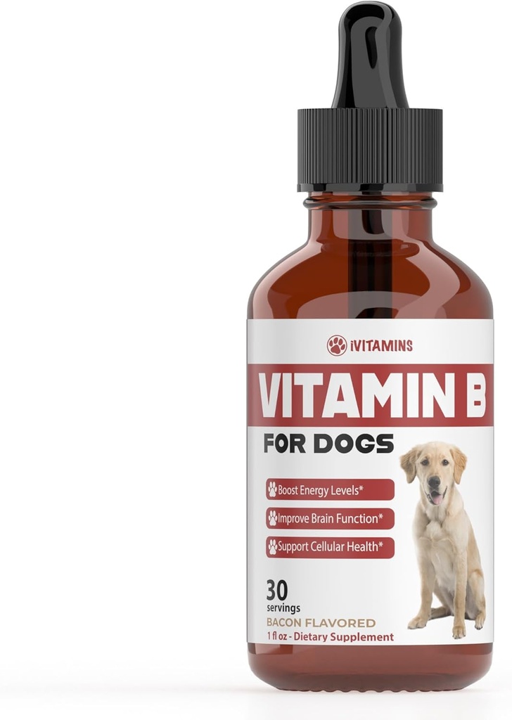Köpekler için B vitamini | Köpekler için B Kompleks | Köpek Vitamini | Köpek Vitaminleri | Köpekleri için B12 Vitamini | Köpekler için B Kompleks | Köpekler için B12 | Do1 fl oz: Bacon Flavor