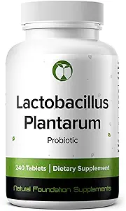 Lactobacillus Plantarum Probiyotik Supplement 240 Tablet 3 Milyar CFU Probiyotiks for Men & Women Supports Intestinal Digestive & Gut Health (240, Lactobacillus Plantarum)