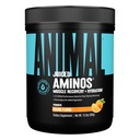 Animal Juiced Platinum Acids - BCAA Toz EAA Matrix Plus, Electrolytes ve Sea Salt Anytime Recovery ve Improv Performans, Orange Flavor, 30 Hizmet