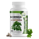 Πράσινα κάψουλες Moringa Oleifera Green Superfood με Βιταμίνη C, Ωμέγα 3 & Αμινοξέα - Ενισχύει την ενέργεια, Mood, Μνήμη, Ανοσοποιητική Υποστήριξη - Κατασκευασμένο από Βιολογικό Moringa, Μη ΓΤΟ - 60 κάψουλες (1 φιάλη)