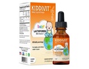 Kiddivit Bebek Lactoferrin Liquid Drops – Gentle Immune Support Supplement – 100mg Formula Prebiyotik Inulin – 60 Günlük Hizmetler – Sugar Free, Gluten Free, Vegetarian, 2oz