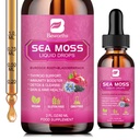 Sea Moss Liquid Drops - Organik Siyah Tohum Yağı İrlandalı Deniz Moss Gel Burdock Kökü ile, Bladderwrack, Elderberry, C, D3, 6X Güçlü Denizmoss Gel Digestive, Saç Sağlığı - Vegan