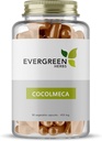 Evergreen Βότανα Κάψουλες Cocolmeca - 450 mg. - 90 Κάψουλες - Smilacaceae, Greenbrier, Sarsaparilla, Smilax