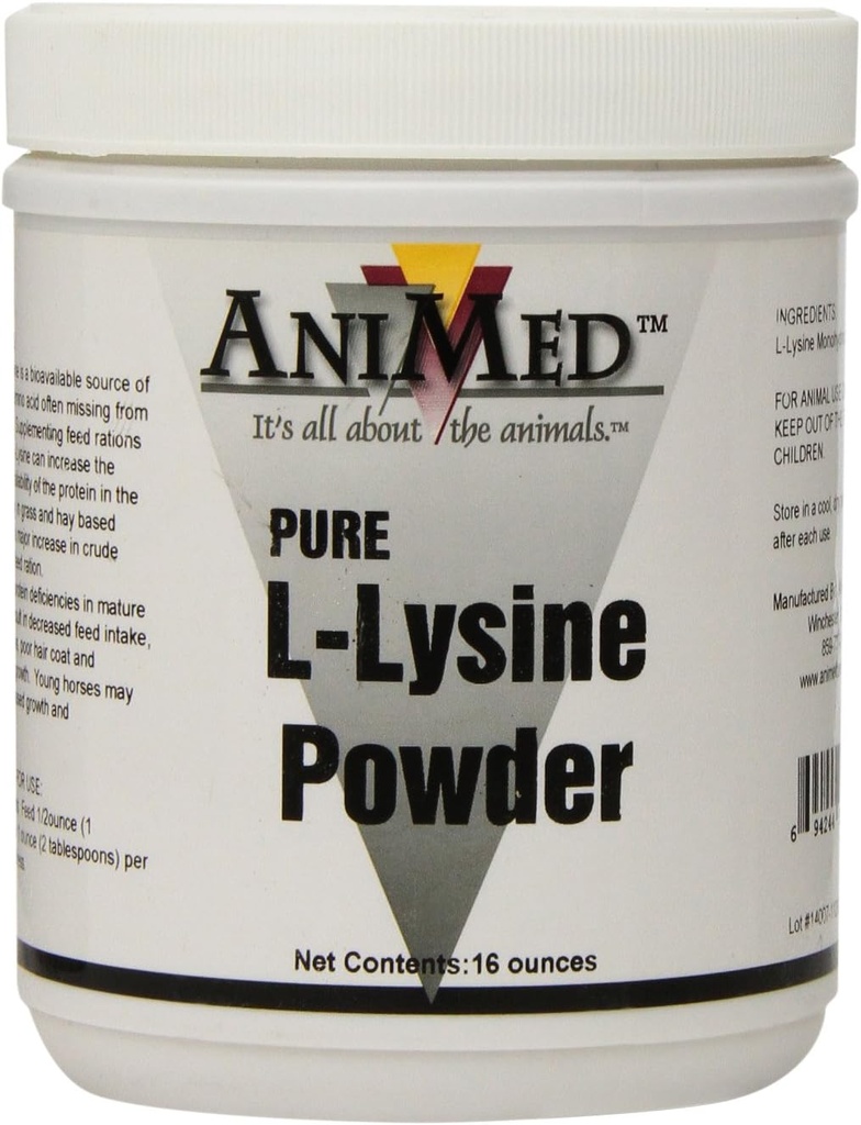 Ανιμέδ L-λυσίνη για άλογα, 16-Ounce
