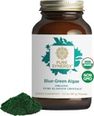 PURE SYNERGY Blue-Green Algae Toz | Magnezyumophyll ile Superfood Toz | Organik AFA Blue Green Algae Supplement | Supports Energy, mental Clarity ve Detoxification (3.2 oz.)