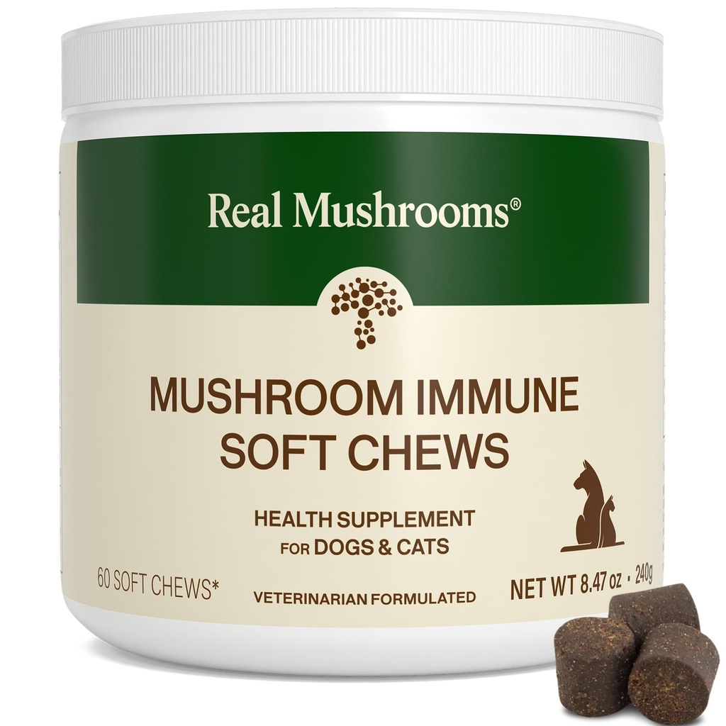 Gerçek Mushroom Immune Pet Chews – For Daily Digestive & Immune Health – Köpekler ve Kediler için Mushroom Supplement - Köpekler ve Kediler için 1 ila 4 Chews For All Breeds & Dimension (60)