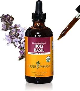 Herbm Phar, Enerji ve Vitality basil için Organik Kutsal (Tulsi) Sıvı Türleme, 4 Fl Oz