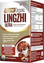 LABO Διατροφή Βιοενεργός οργανικός Lingzhi Reishi Ultra 7 Mushroom Extract Supplement Reishi Cordyceps Maitake Turkey Tail Agaricus jayi Murill Shiitake for Immune Support, Vitality, USDA Organic