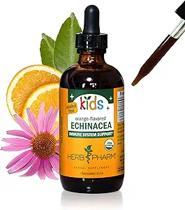 Herb Pharm Kids sertifikalı-Organic Alkol-Free Echinacea Glycerite Liquid Extract, 4 ozz