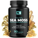 İrlanda Deniz Moss Capsules | Organik İrlandalı Moss ile, 300 mg Burdock Root & 500 mg Bladderwrack Toz | 45 Günlük Supply | 1300 mg Kompleks | Yourroid & Immune Support | 90 Veggie Pills